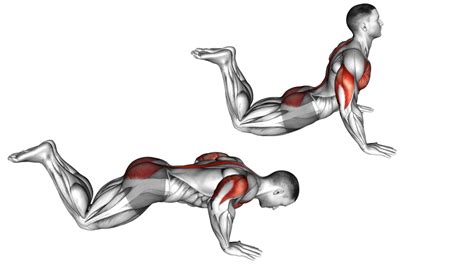 hindu push ups muscles worked.